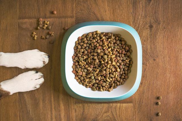 Nature's domain dog food shop serving size